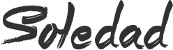 spaiaedent.com